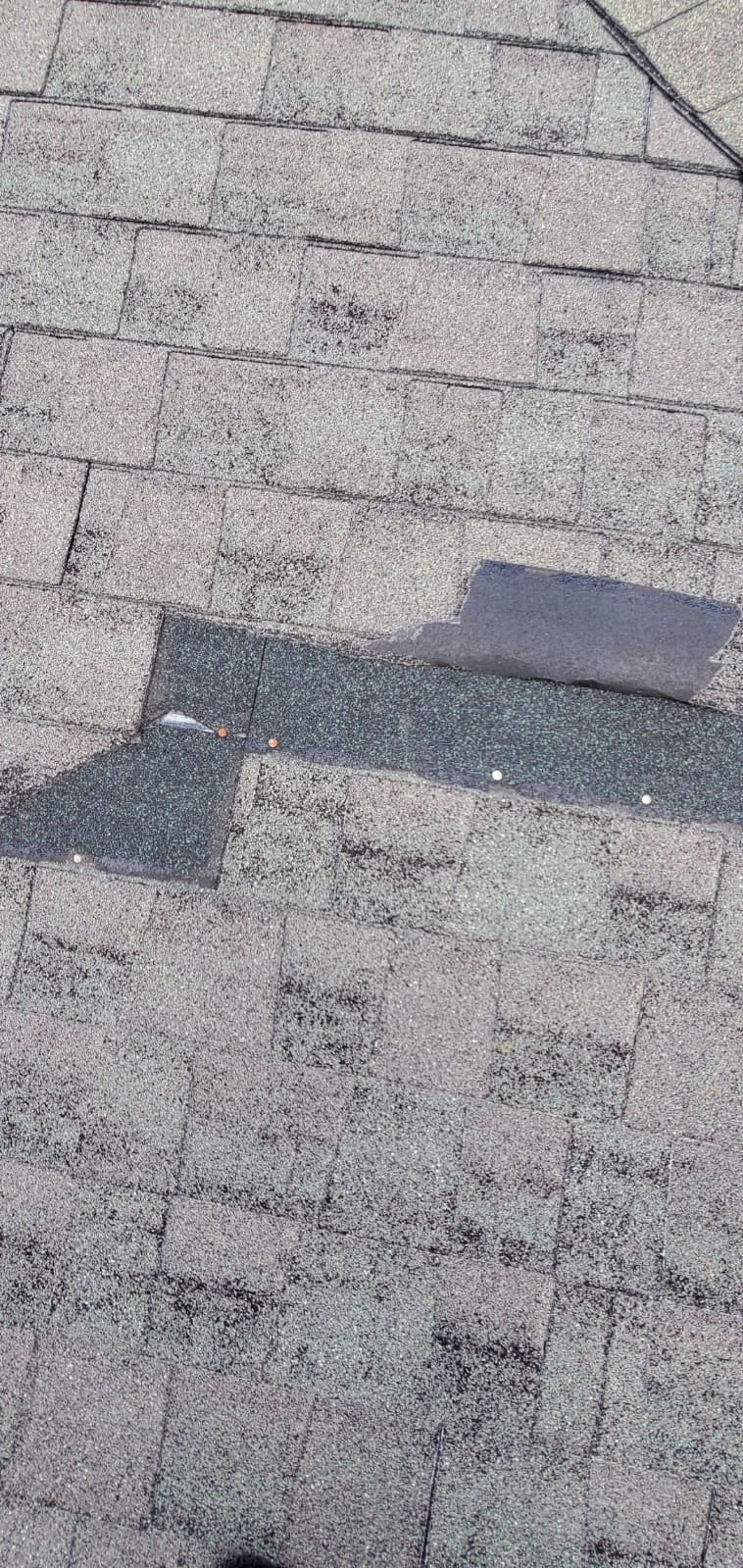 photo 2025 07 24 20 56 00