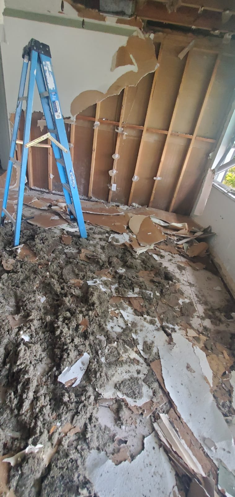 photo 2025 07 24 20 56 03