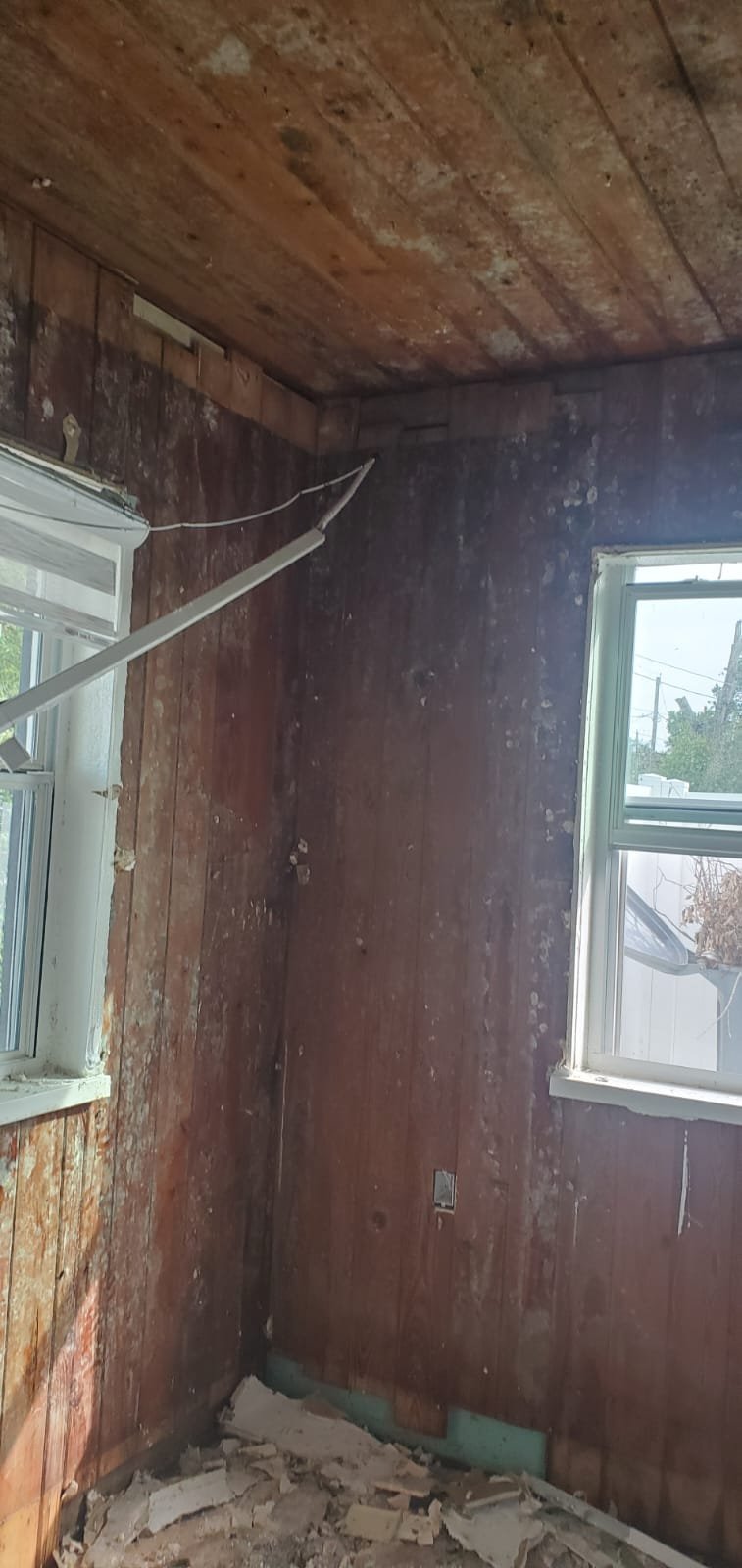 photo 2025 07 24 20 56 05