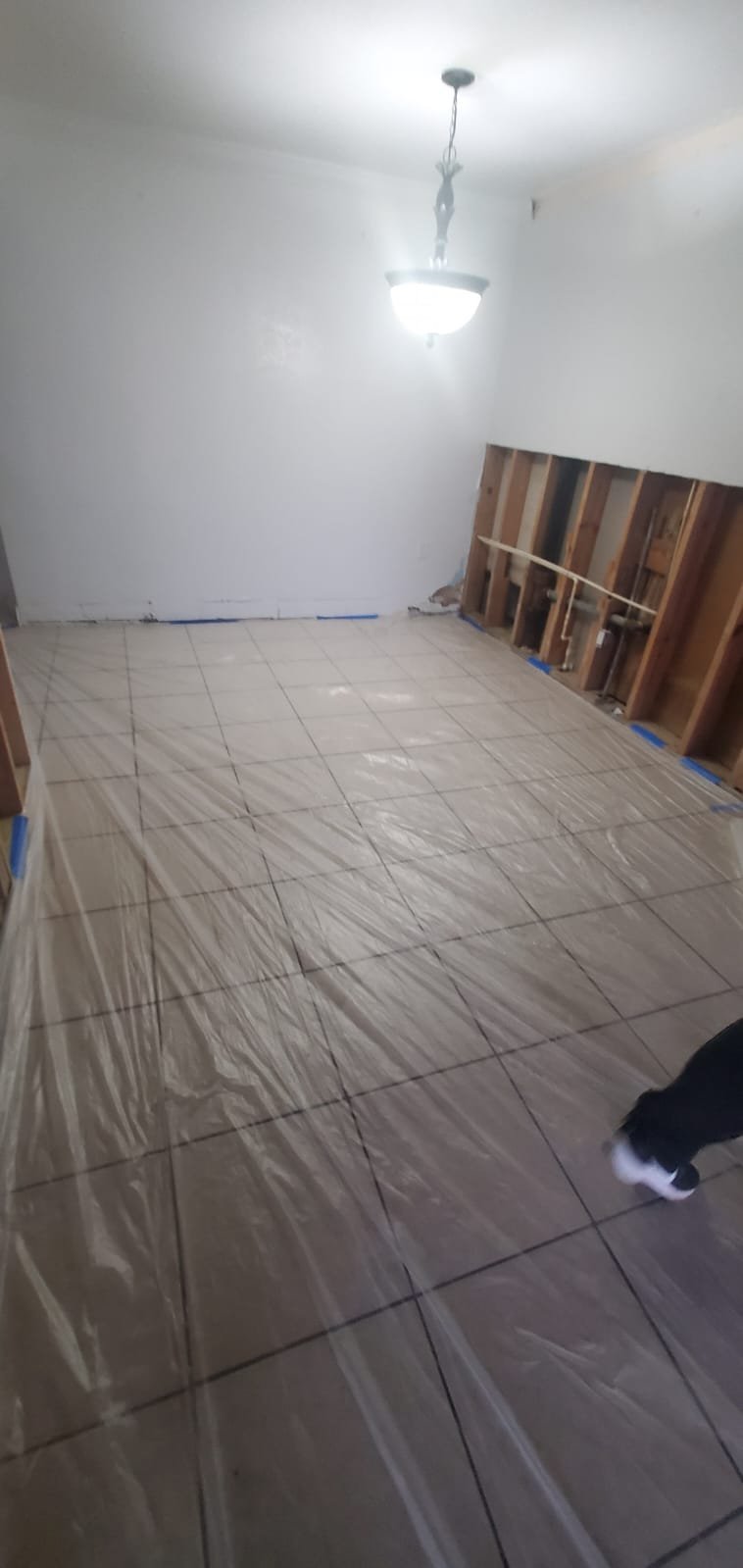 whatsapp image 2025 07 24 at 8.56.01 pm (2)