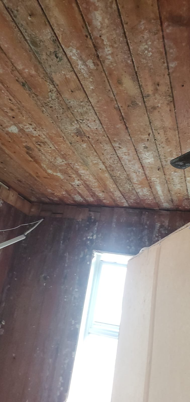 whatsapp image 2025 07 24 at 8.56.01 pm