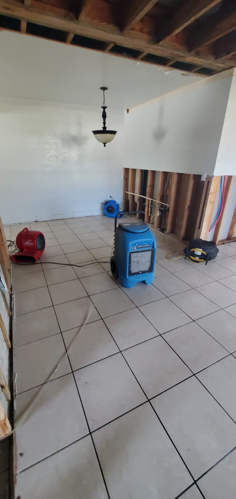 whatsapp image 2025 07 24 at 8.56.08 pm (1)