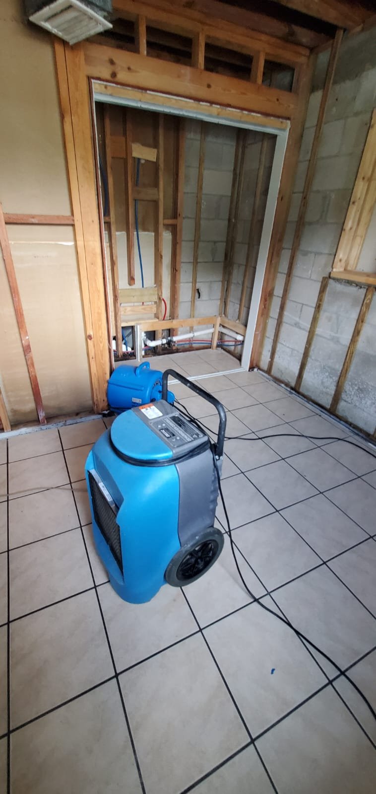 whatsapp image 2025 07 24 at 8.56.08 pm